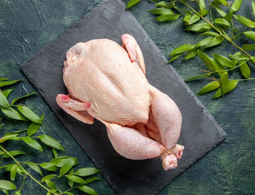 chicken