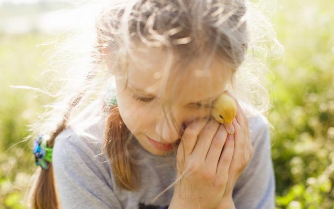 μπράβο παιδί μου 
