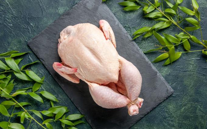 chicken