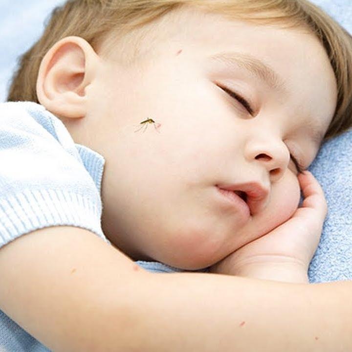 boom κουνούπια μετάδοση κορωνοϊού