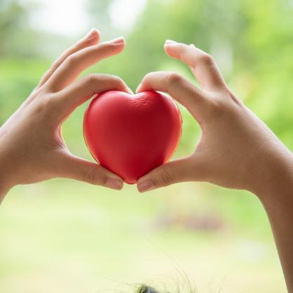 make a wish μέρα ευχής 