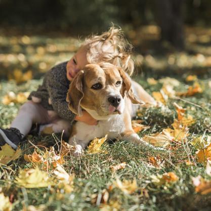 καλές ειδήσεις κορωνοϊός
