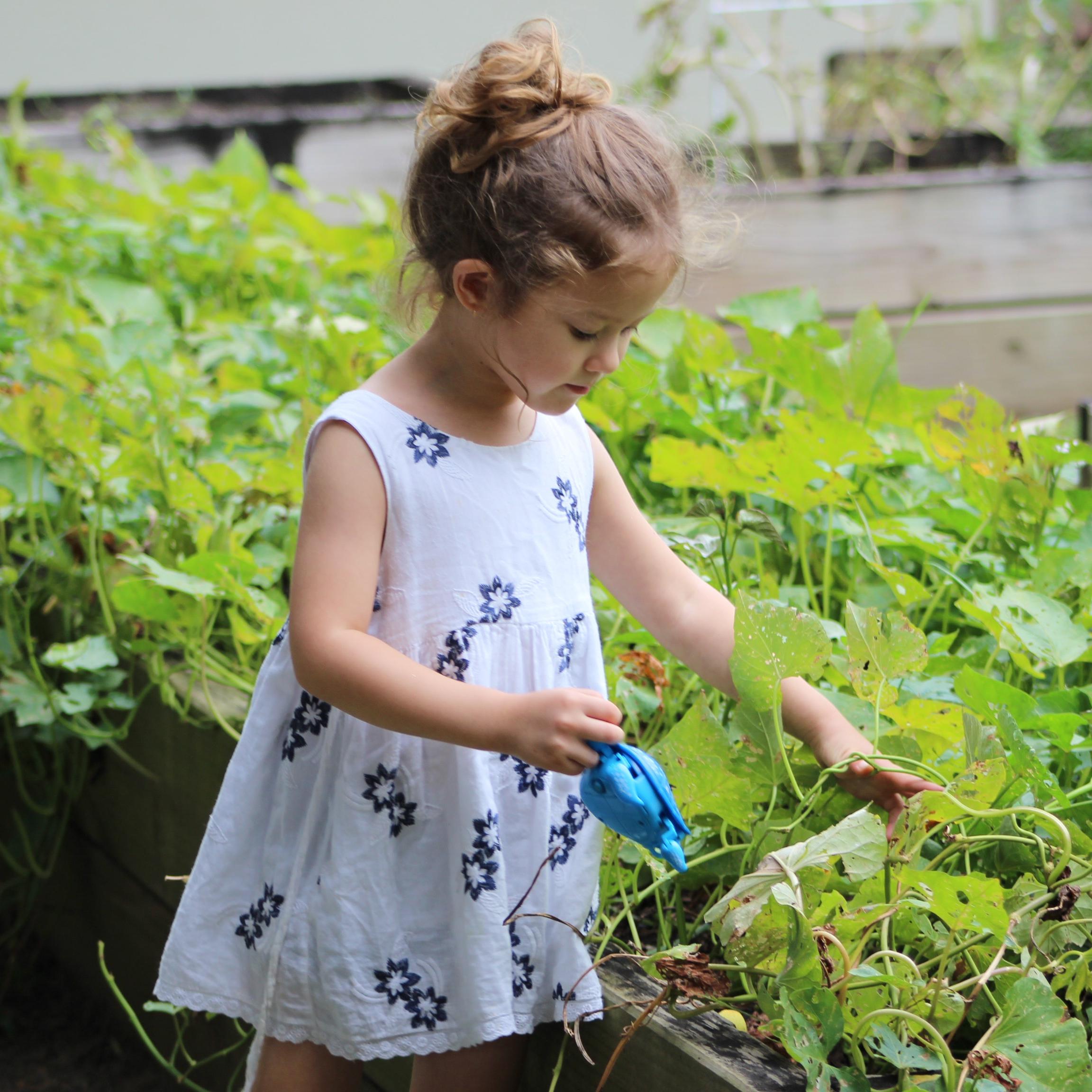 gardening, κηπουρική για παιδιά, δεξιότητες, σημαντικά οφέλη