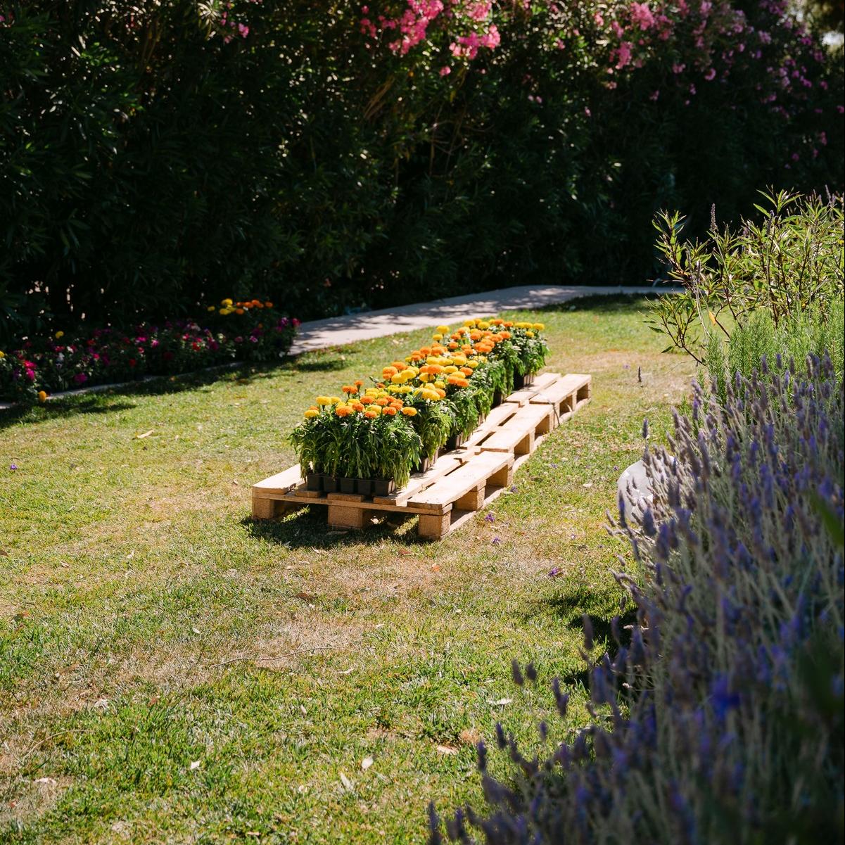 ELAIA GARDENING