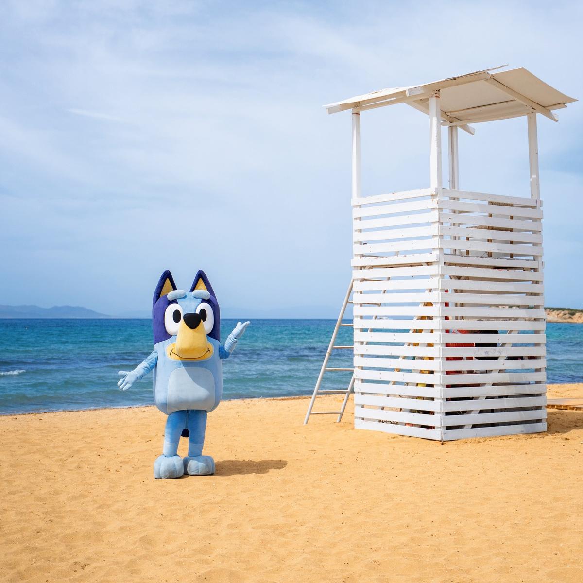 bluey