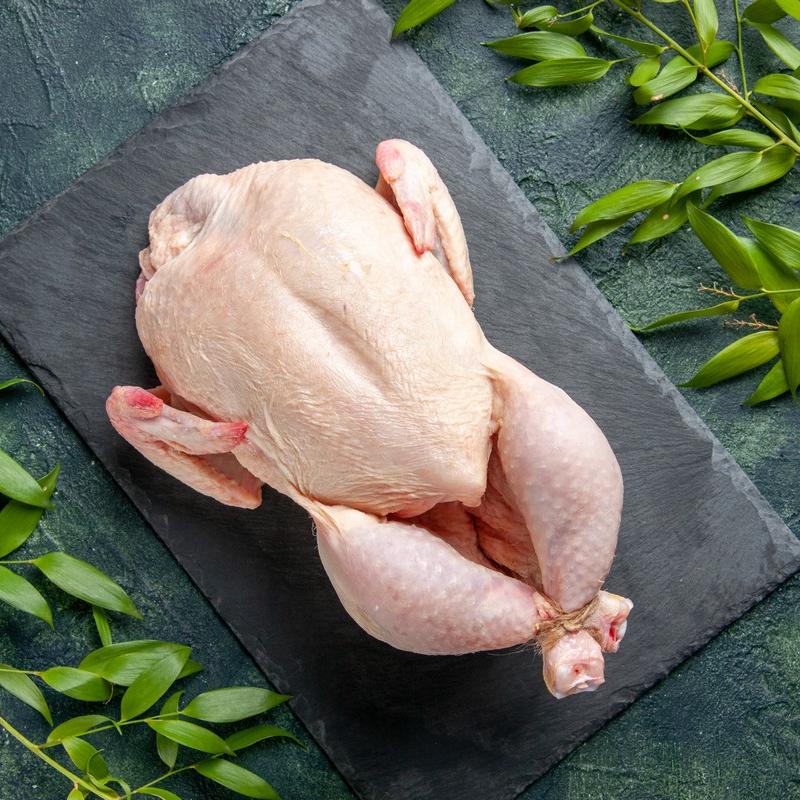 chicken