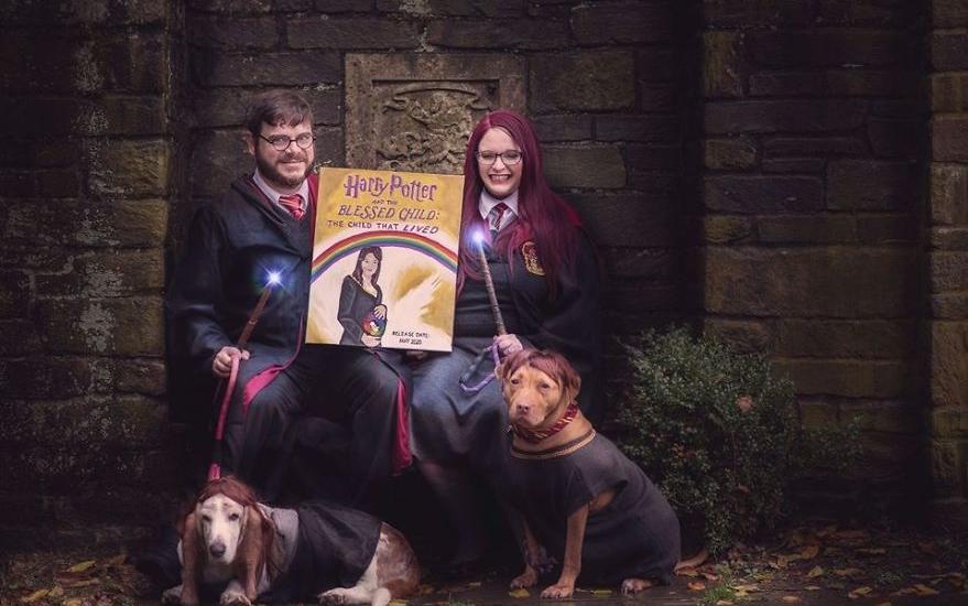 boom φωτογράφιση ανακοίνωσης εγκυμοσύνης harry potter