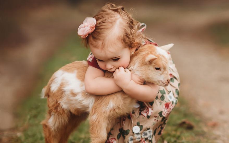 boom ζώα παιδιά