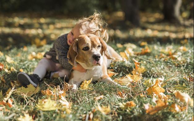 καλές ειδήσεις κορωνοϊός