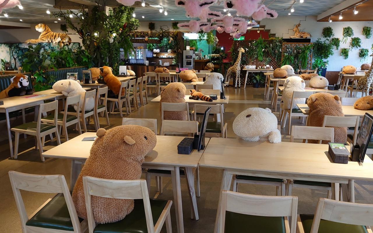 boom λούτρινα ζωάκια σε εστιατόριο Ιαπωνία