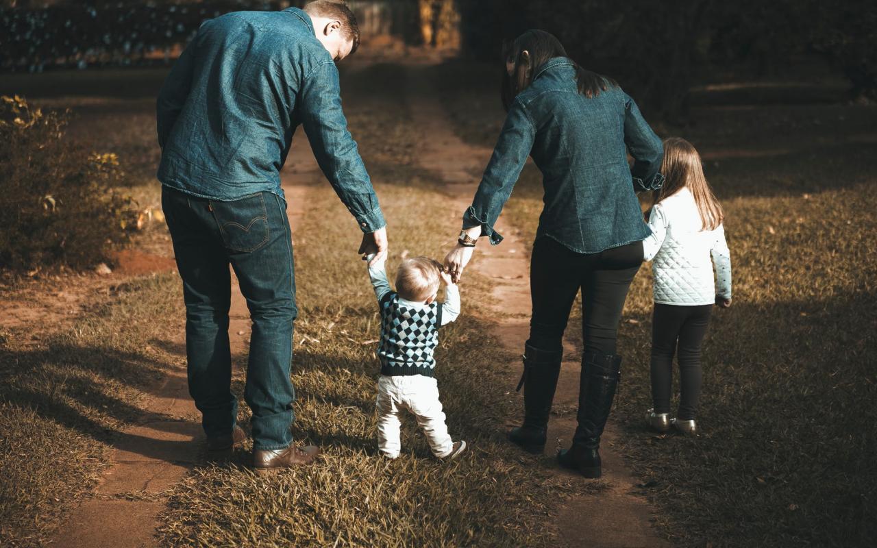 συνεπιμέλεια 