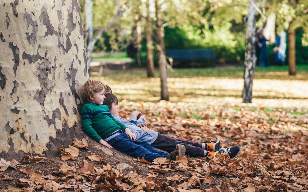 Παιδιά και δέντρα