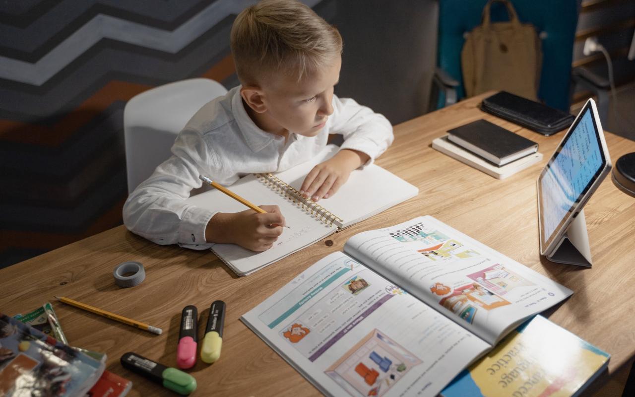 τηλεκπαίδευση 