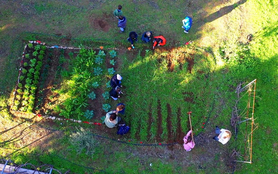 νηπιαγωγείο εκπαιδευτήρια γείτονα 