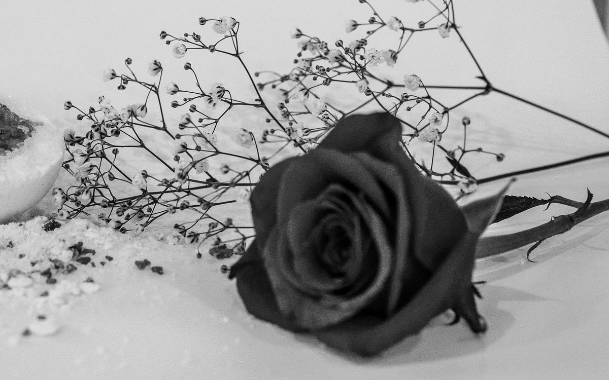 Δολοφονία Άλκη