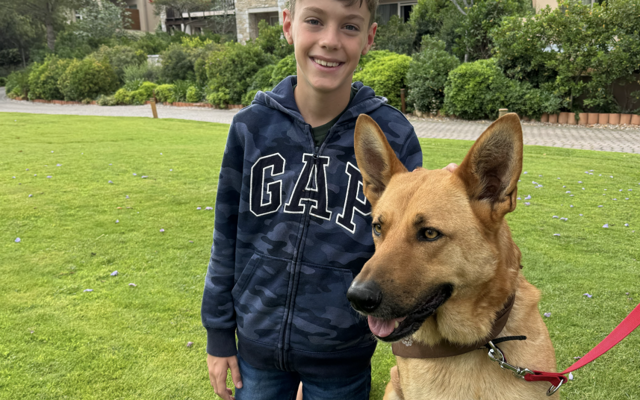 Navarino Pet Community