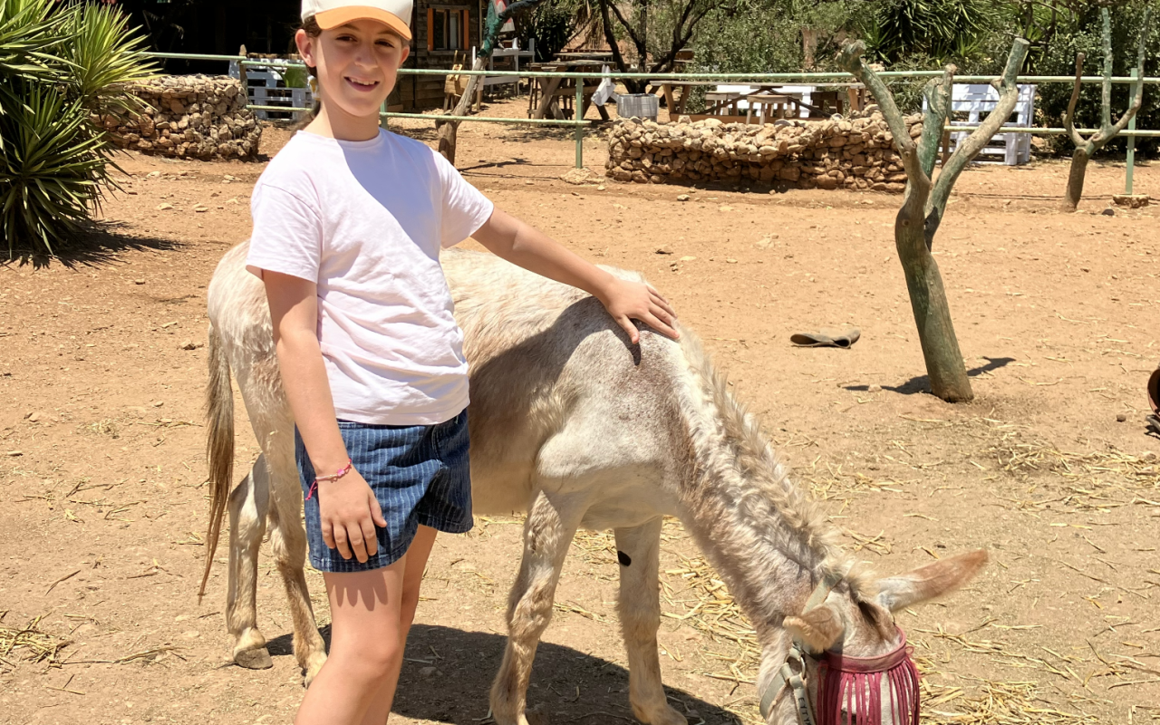 γαιδουροχώρα 