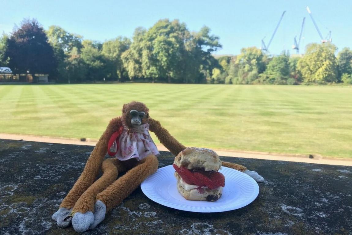 Boom_Queen_returns_toy_monkey_to_girl