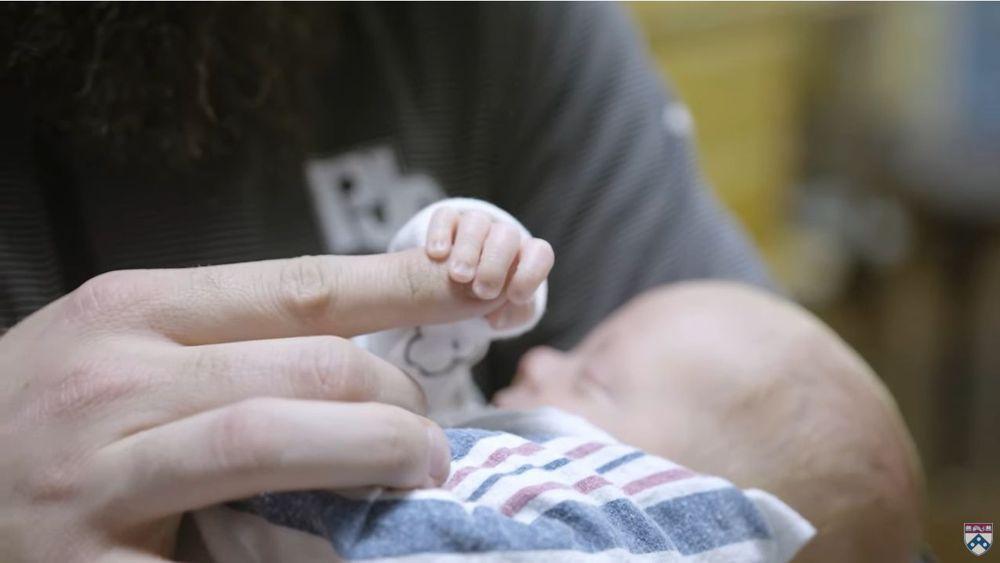 boom μωρό θαύμα από μεταμόσχευση μήτρας