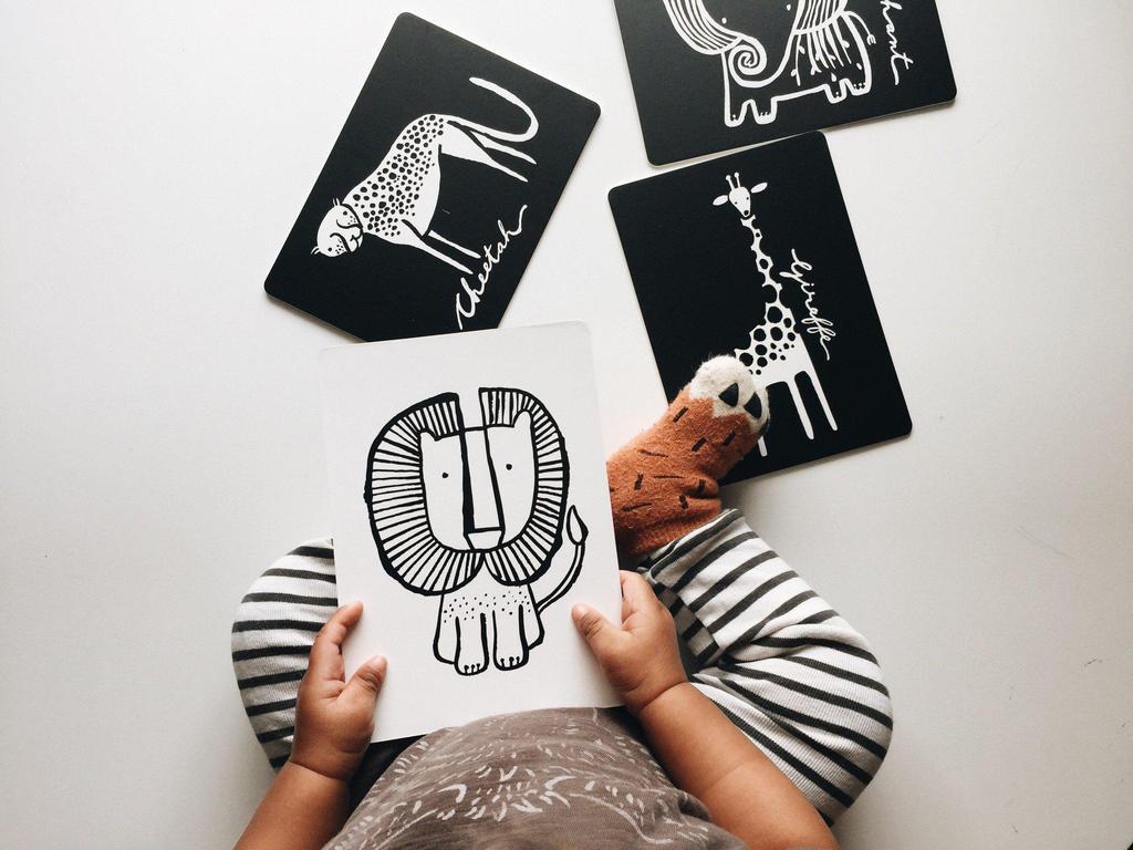 boom cards pets house of mint