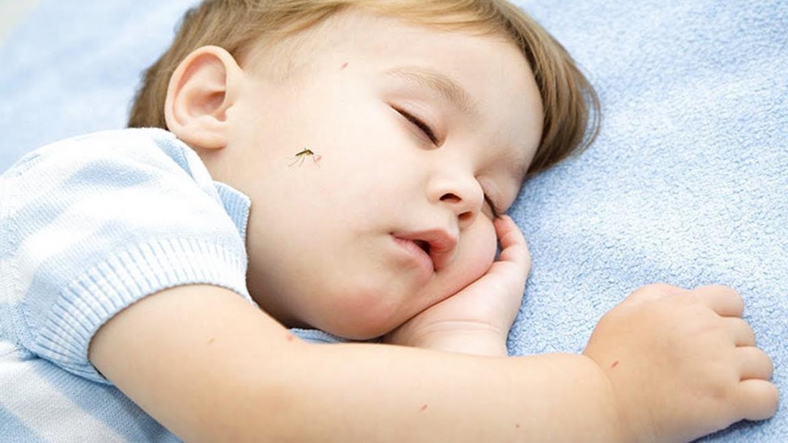 boom κουνούπια μετάδοση κορωνοϊού