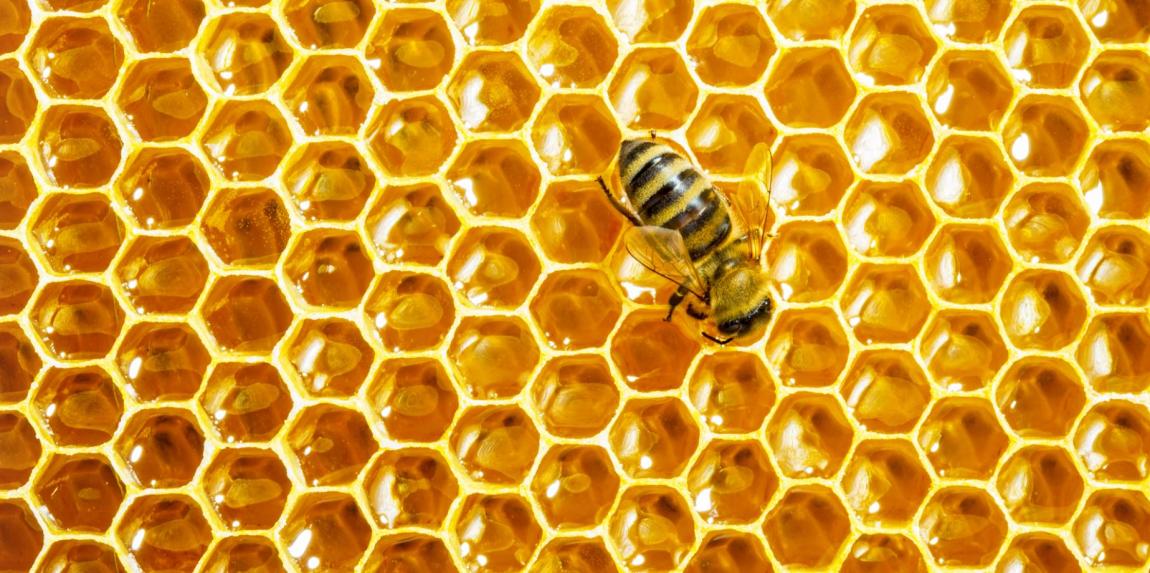 boom πρόπολη θωράκιση οργανισμού apivita